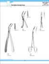Plants: image 1 0f 4 thumb
